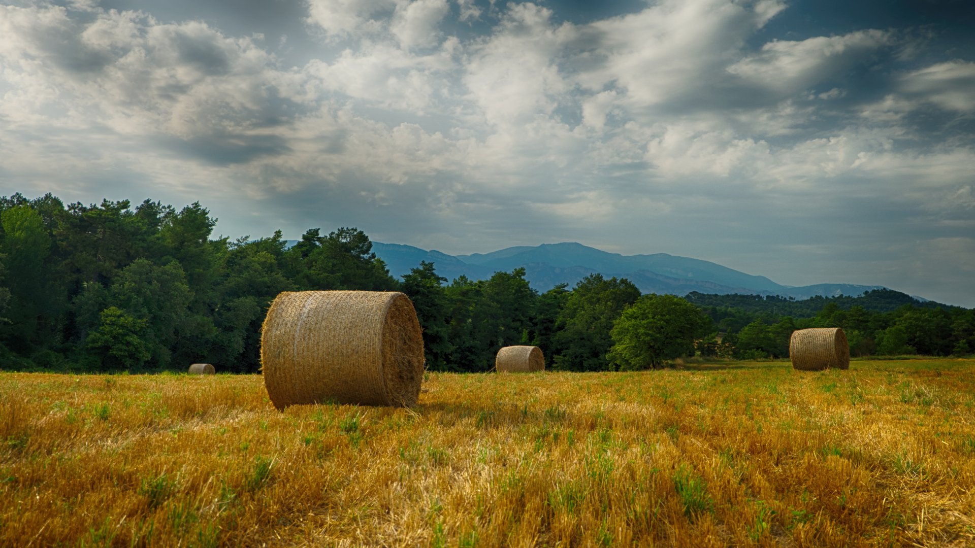 Download Field Harvest Nature Haystack 4k Ultra HD Wallpaper