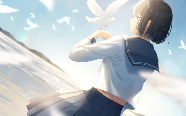 Anime original 2K Quad HD desktop wallpaper: short-haired schoolgirl in a sailor school uniform holds a white bird while others soar across a sunlit sky — anime bird background.