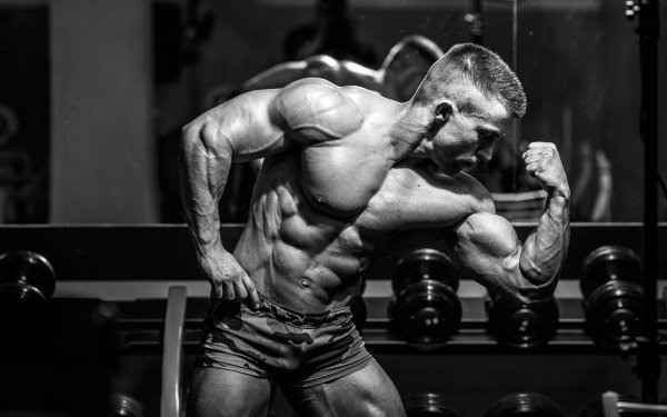 Sports Bodybuilding Gym Bodybuilder Noir & Blanc Muscle Fond d'écran HD | Image