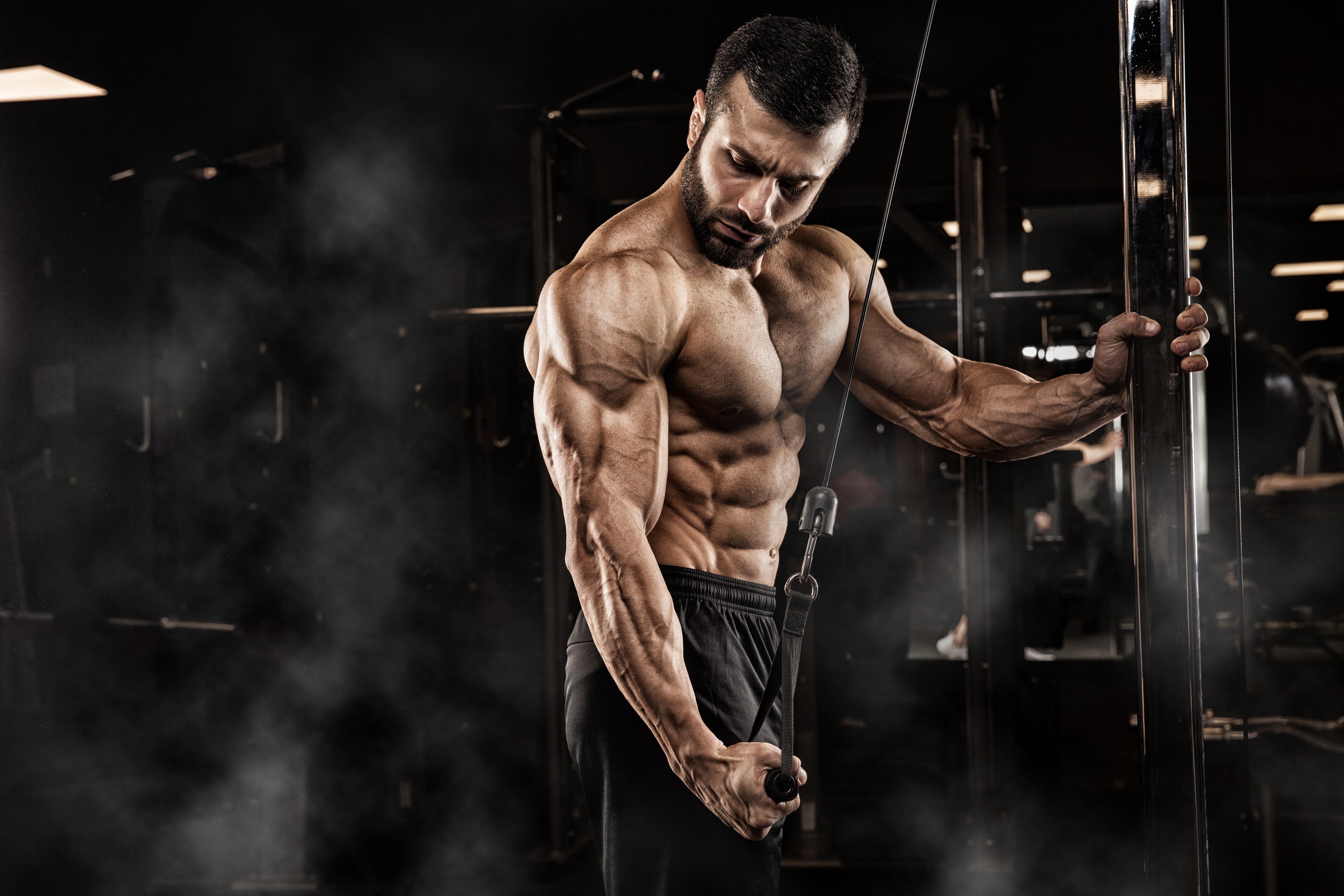 Bodybuilding HD Wallpapers and Backgrounds. 