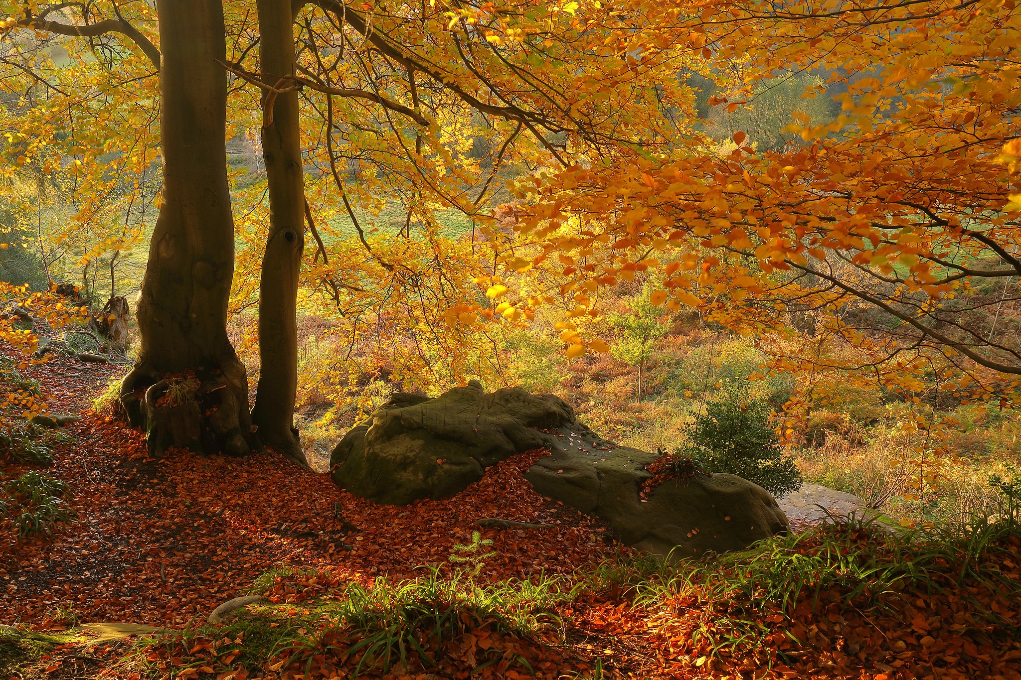 Stone fall. Осень камни лес. Гудфон осень. 2048 X 1152 осенний лес. Мягкая осень обои.