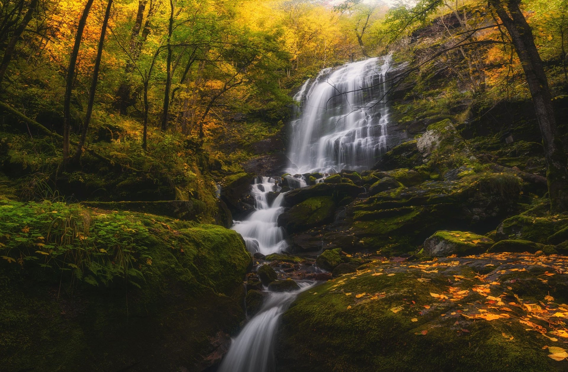 Download Nature Waterfall HD Wallpaper