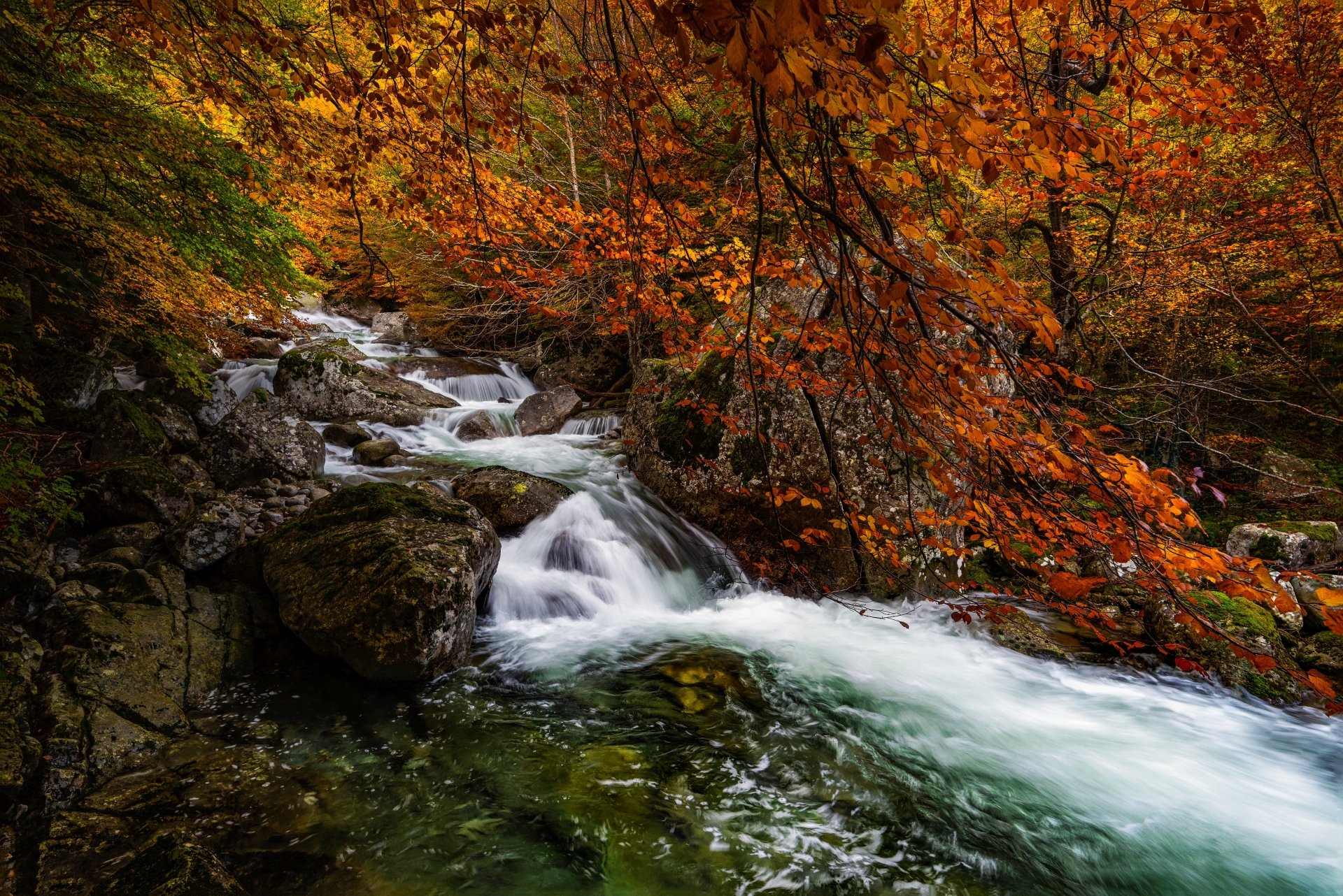 Download Fall Forest Nature Waterfall 4k Ultra HD Wallpaper