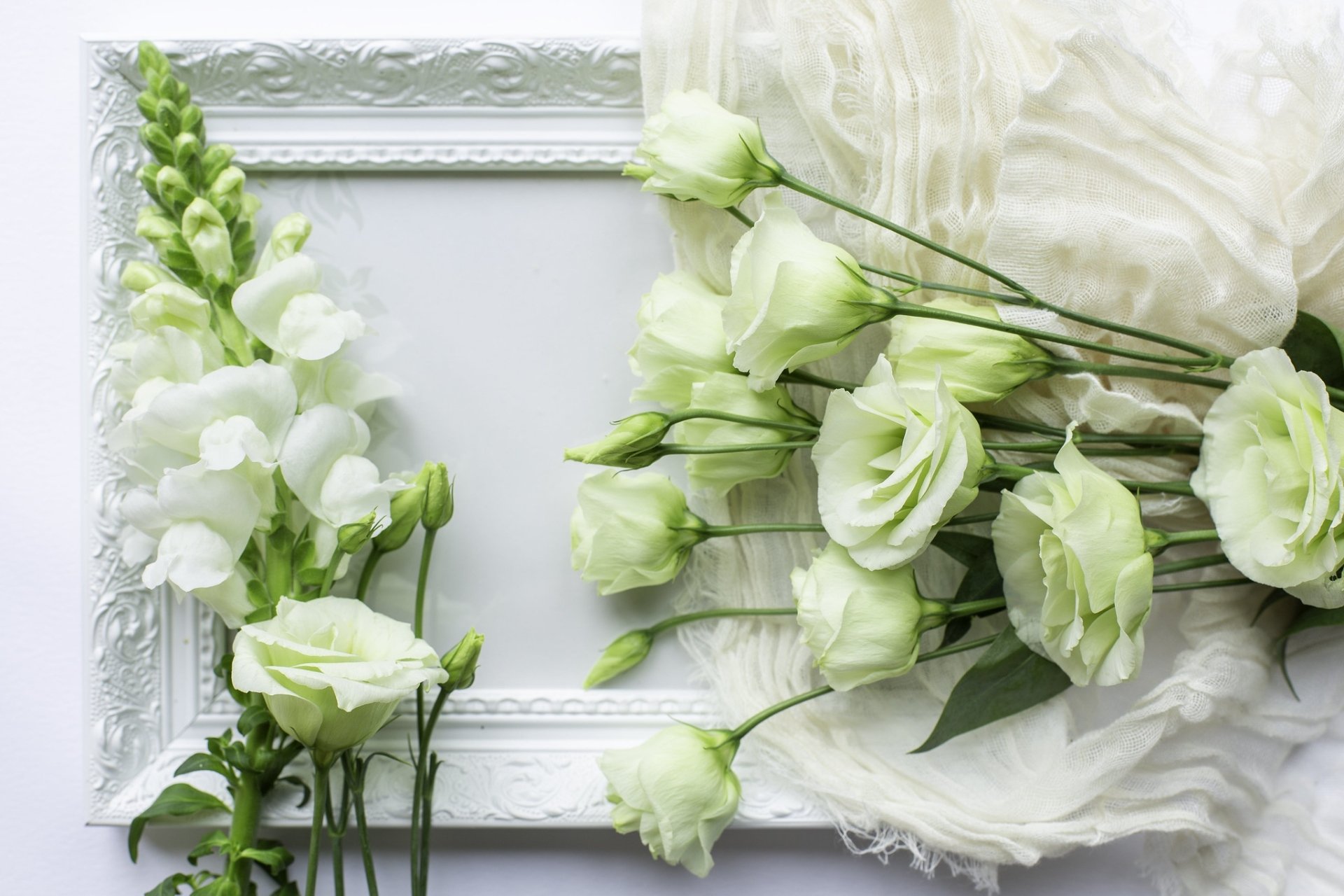 Download Matthiola Eustoma Man Made Flower HD Wallpaper