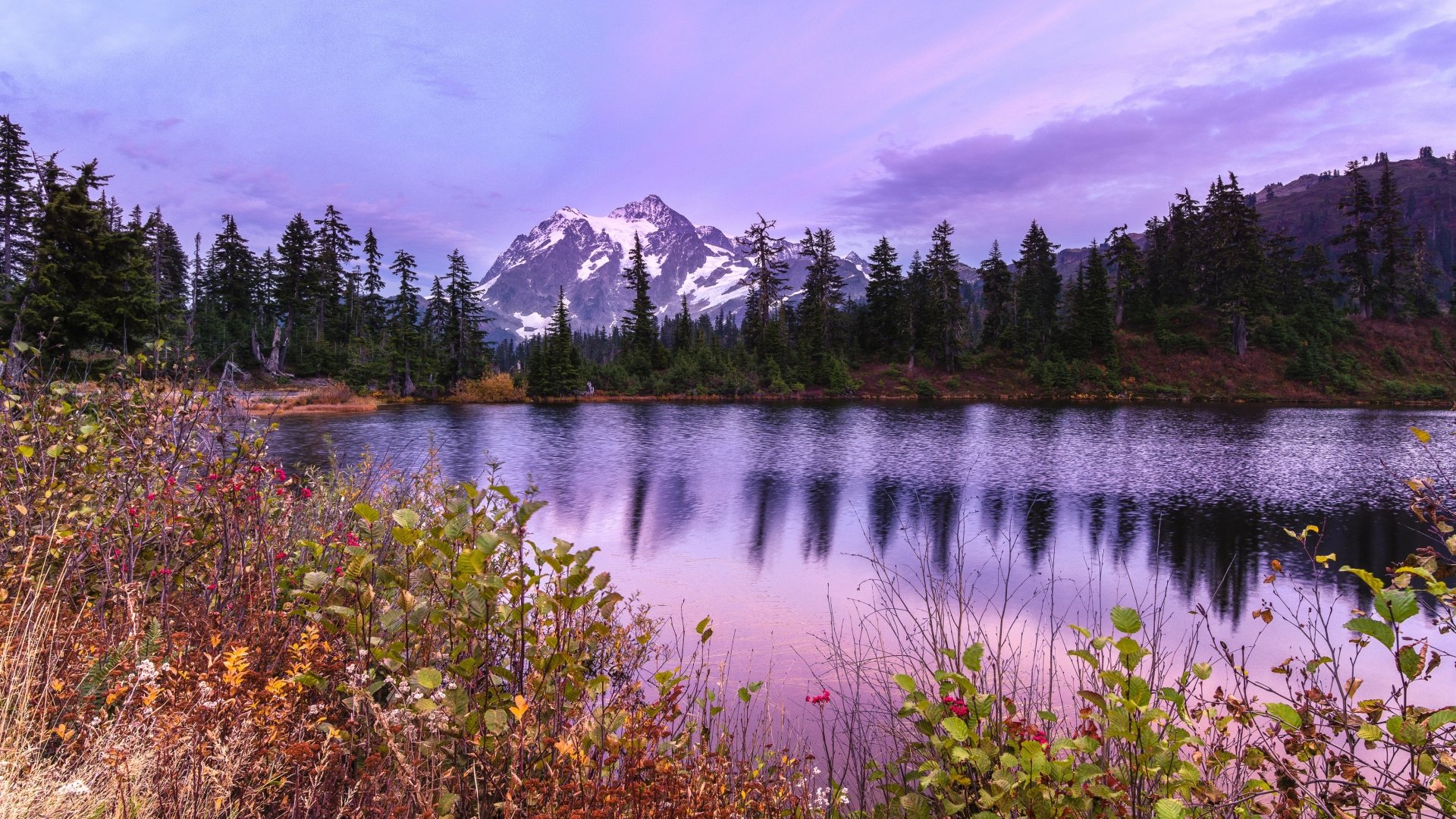 Download Landscape Tree Mount Shuksan Nature Lake HD Wallpaper