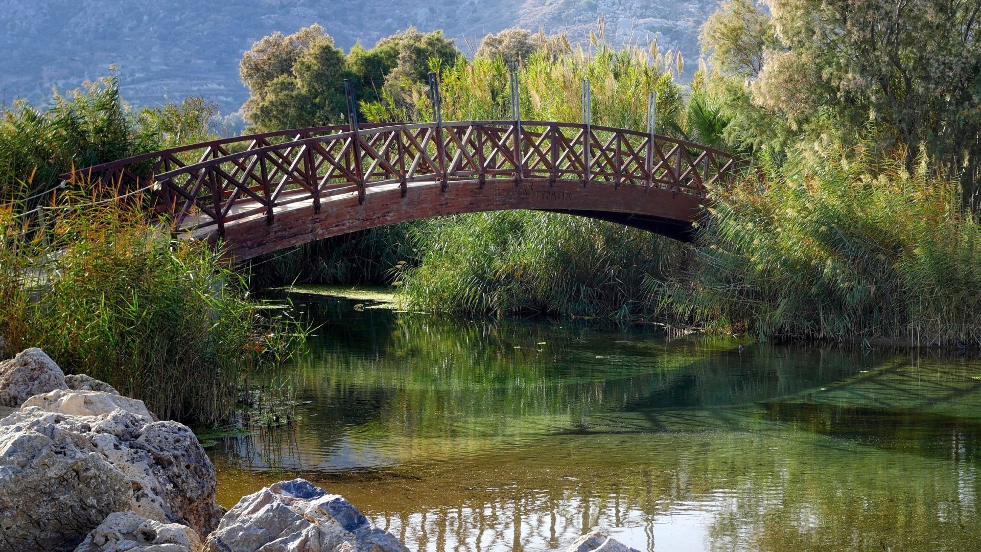 A man-made wooden bridge spans a calm river surrounded by lush greenery in a serene park, captured in high definition for a PC desktop wallpaper background.