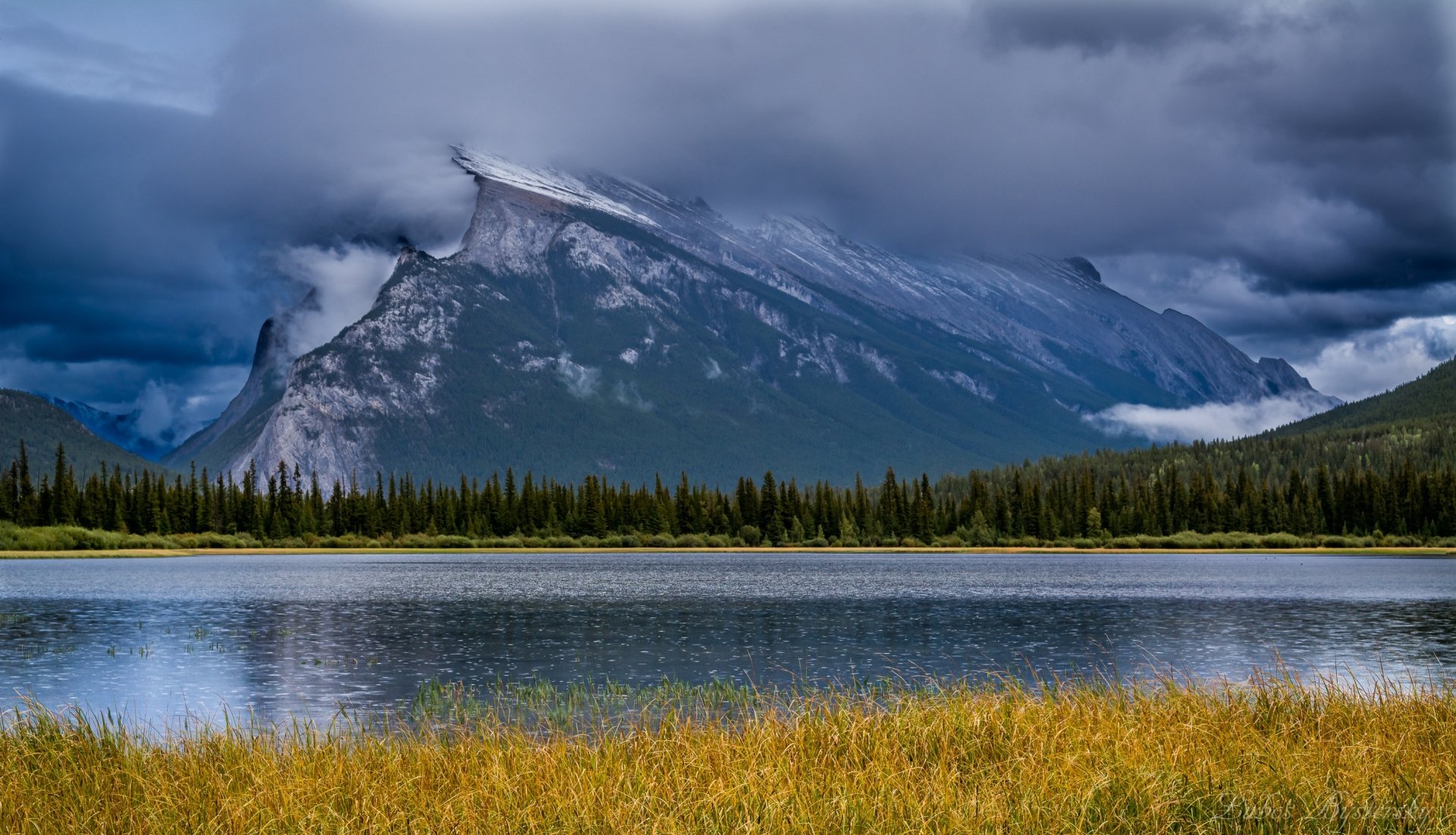 HD desktop wallpaper capturing Banff National Park’s serene lake with tall grasses in the foreground, a reflective water surface, and majestic mountains under a cloudy sky.