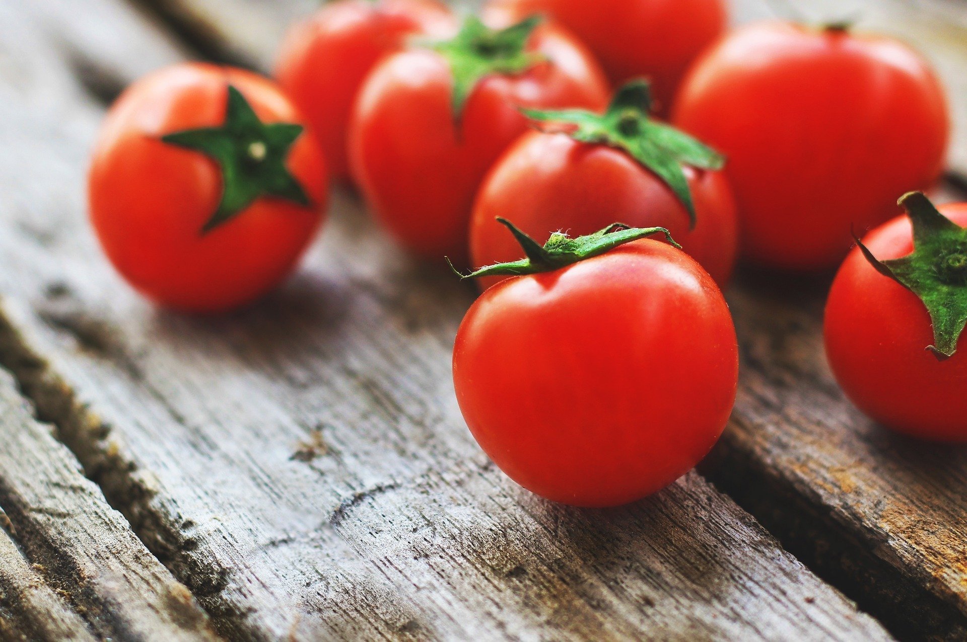 Download Food Tomato HD Wallpaper