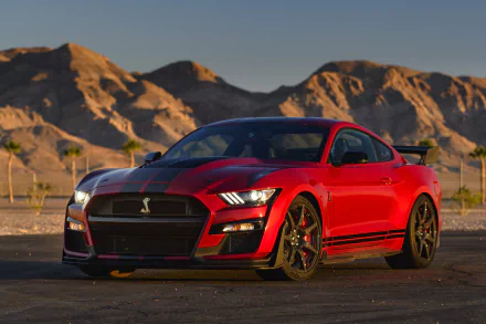  2020 Red Shelby GT500 with black stripe