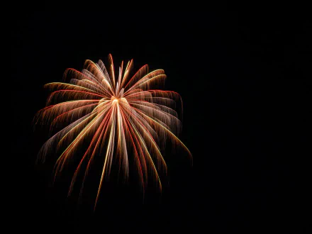 photography fireworks HD Desktop Wallpaper | Background Image