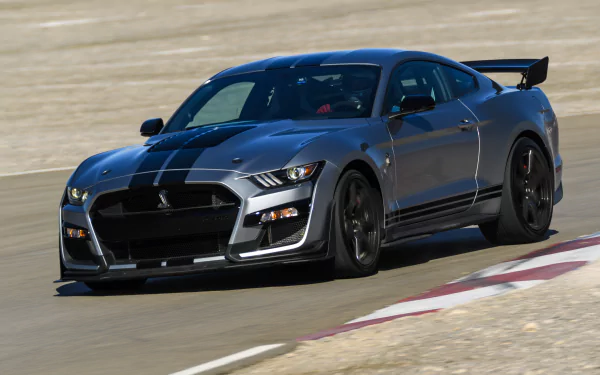  2019 Grey Shelby GT500