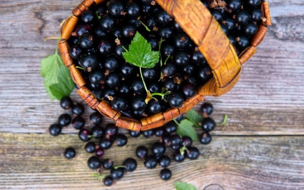 Food Currants Berry Basket HD Wallpaper | Background Image