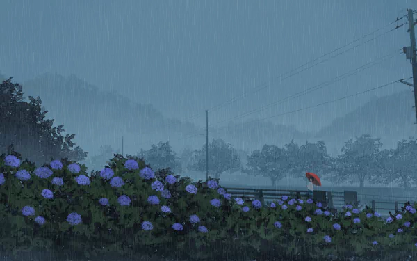 HD anime desktop wallpaper featuring vibrant hydrangea flowers in the rain, a lone figure with a red umbrella, and a serene rainy landscape with soft, muted tones.