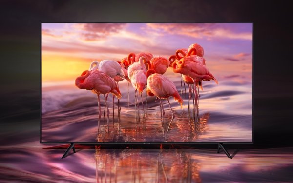 Man Made Television Samsung Flamingo HD Wallpaper | Background Image