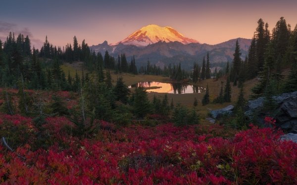Earth Mount Rainier Mountains HD Wallpaper | Background Image