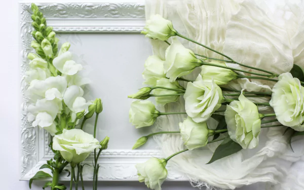 matthiola eustoma man made flower HD Desktop Wallpaper | Background Image