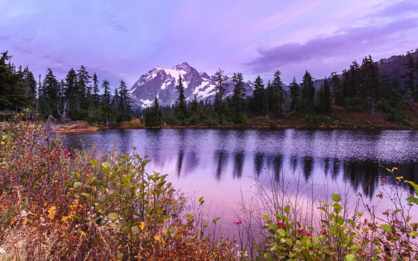 landscape tree Mount Shuksan nature lake HD Desktop Wallpaper | Background Image