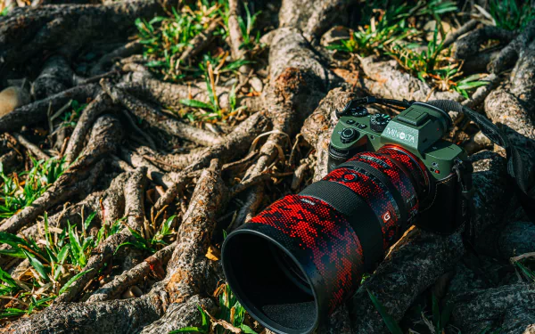  Minolta Camera with a Sony Lens