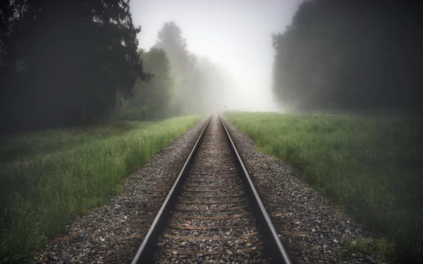 A foggy railroad track cutting through dense greenery, captured in stunning 4K Ultra HD, creating a serene and mysterious man-made landscape.