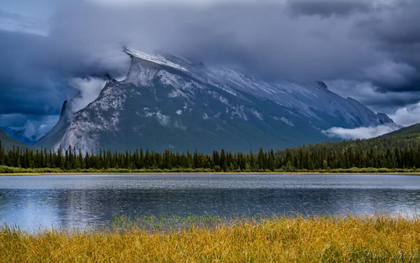 HD desktop wallpaper capturing Banff National Park’s serene lake with tall grasses in the foreground, a reflective water surface, and majestic mountains under a cloudy sky.