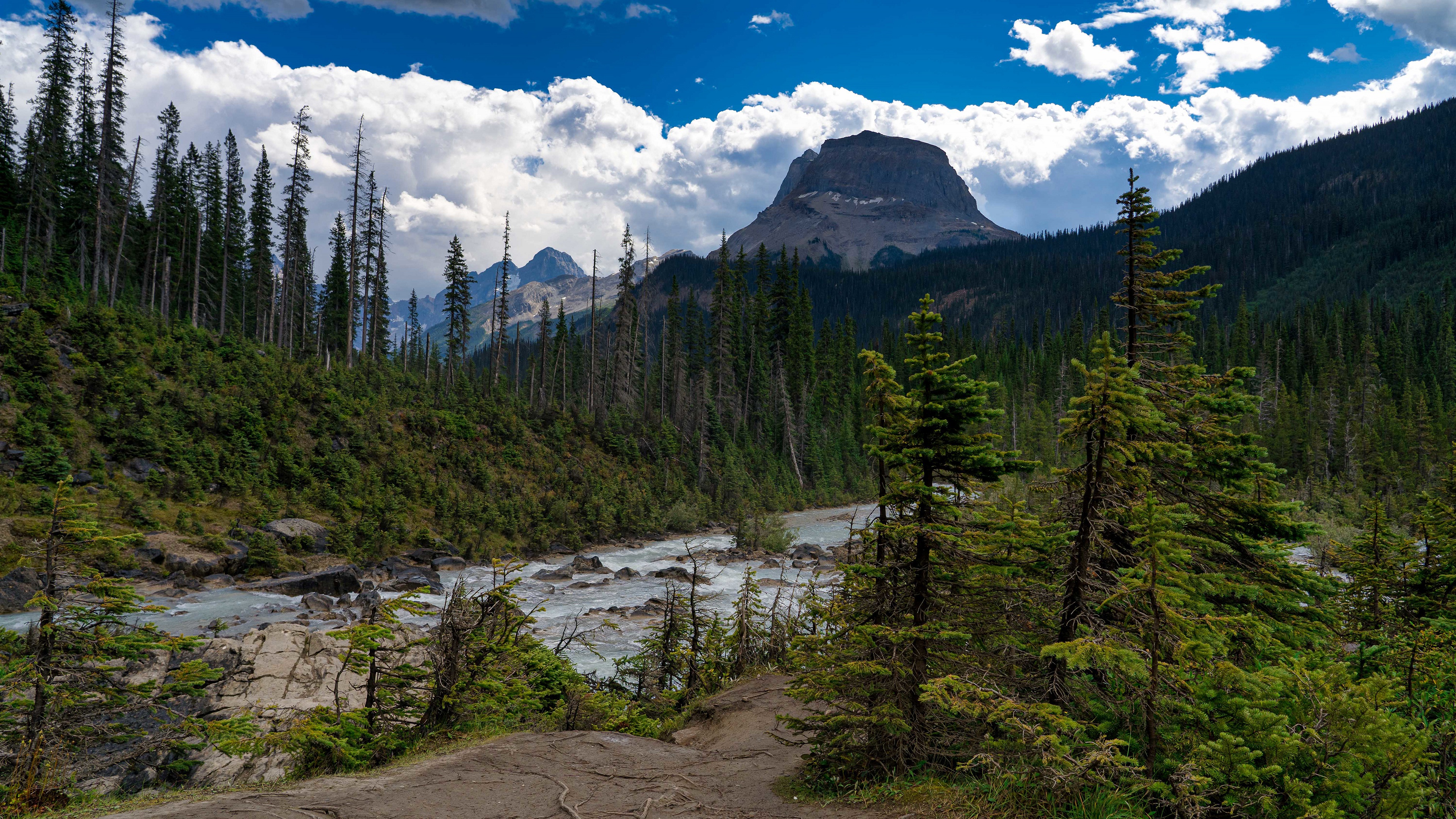 Download Alberta Canada Coast Mountain Forest Nature River 4k Ultra HD ...