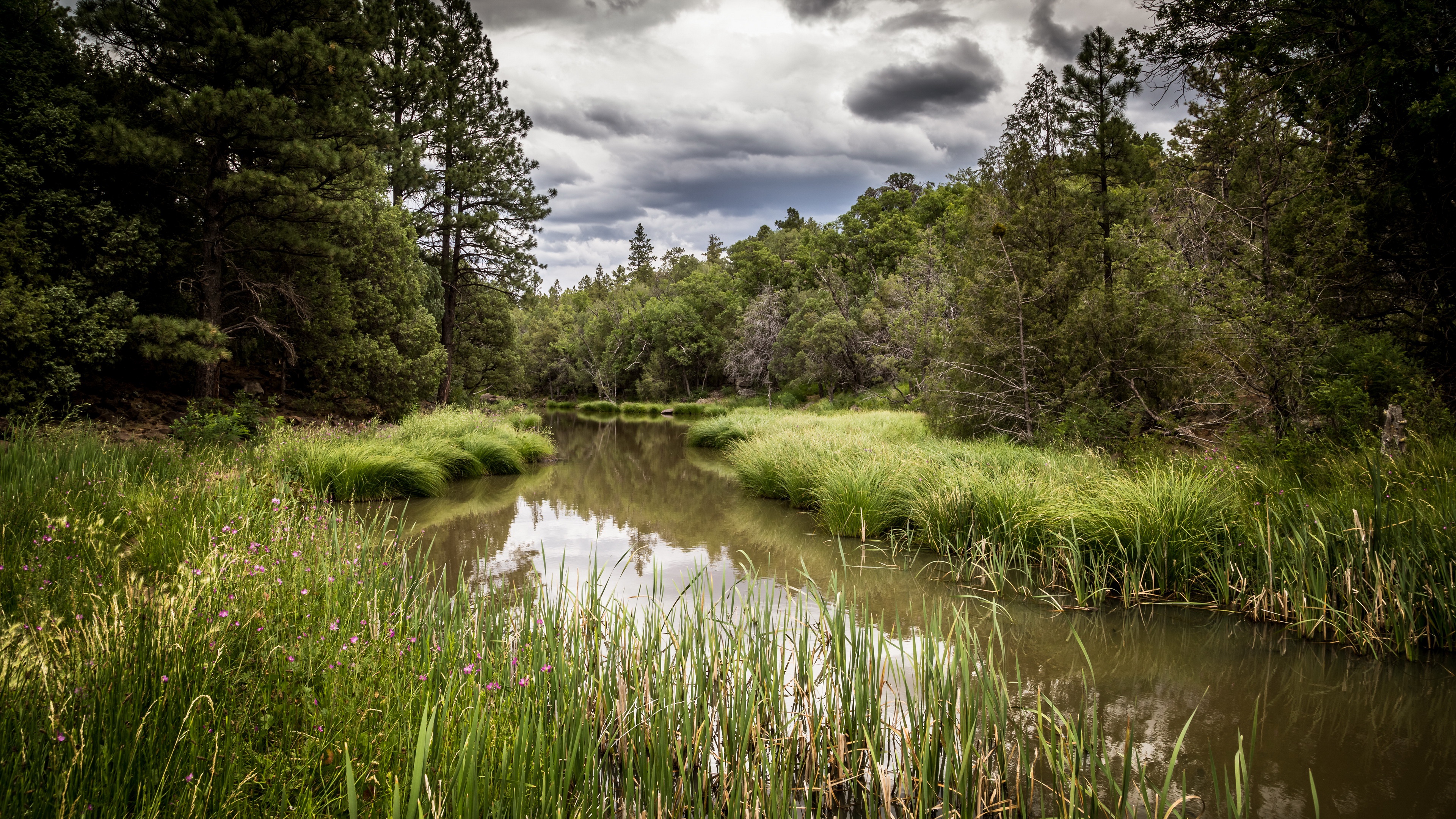 River 4k Ultra Hd Wallpaper Background Image 3840x2160