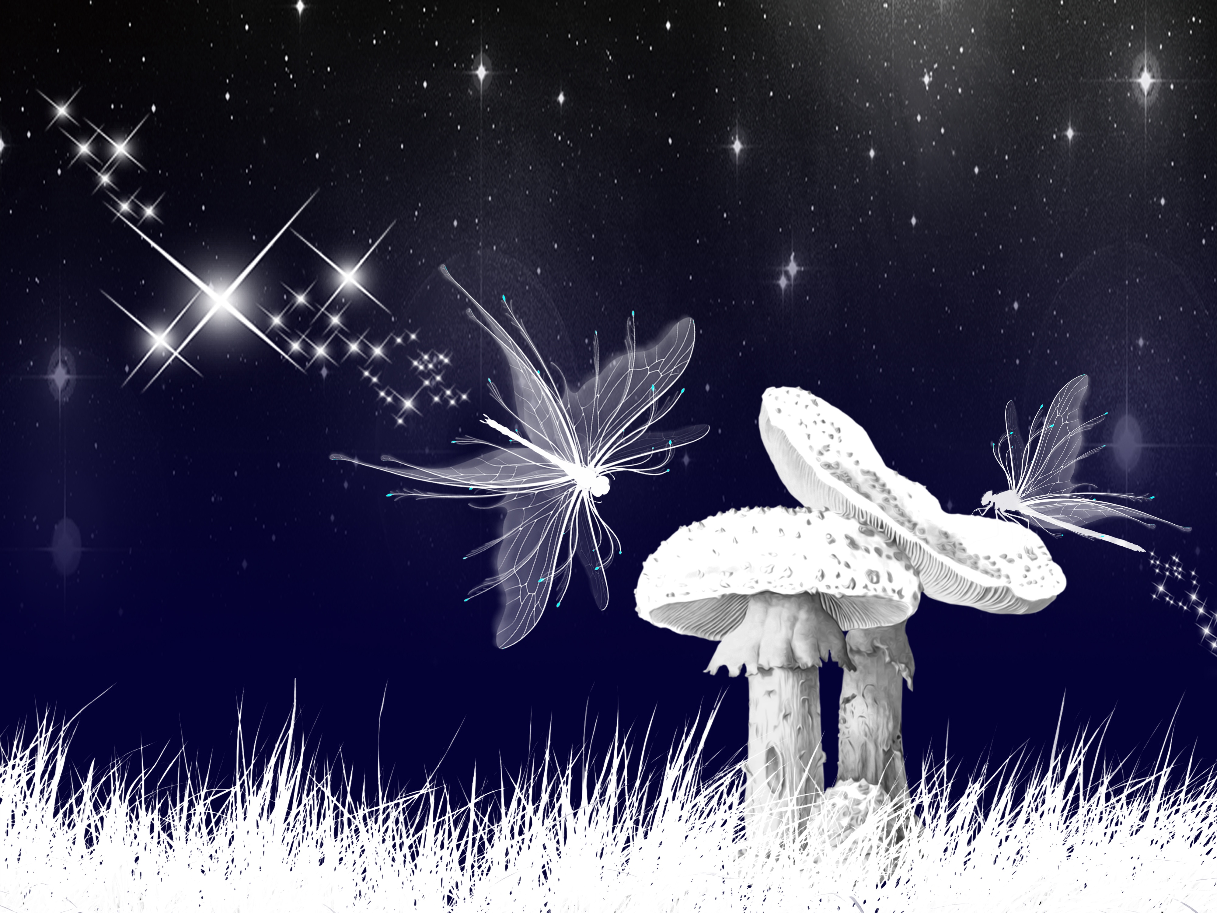 Artistic Mushroom HD Wallpaper | Background Image