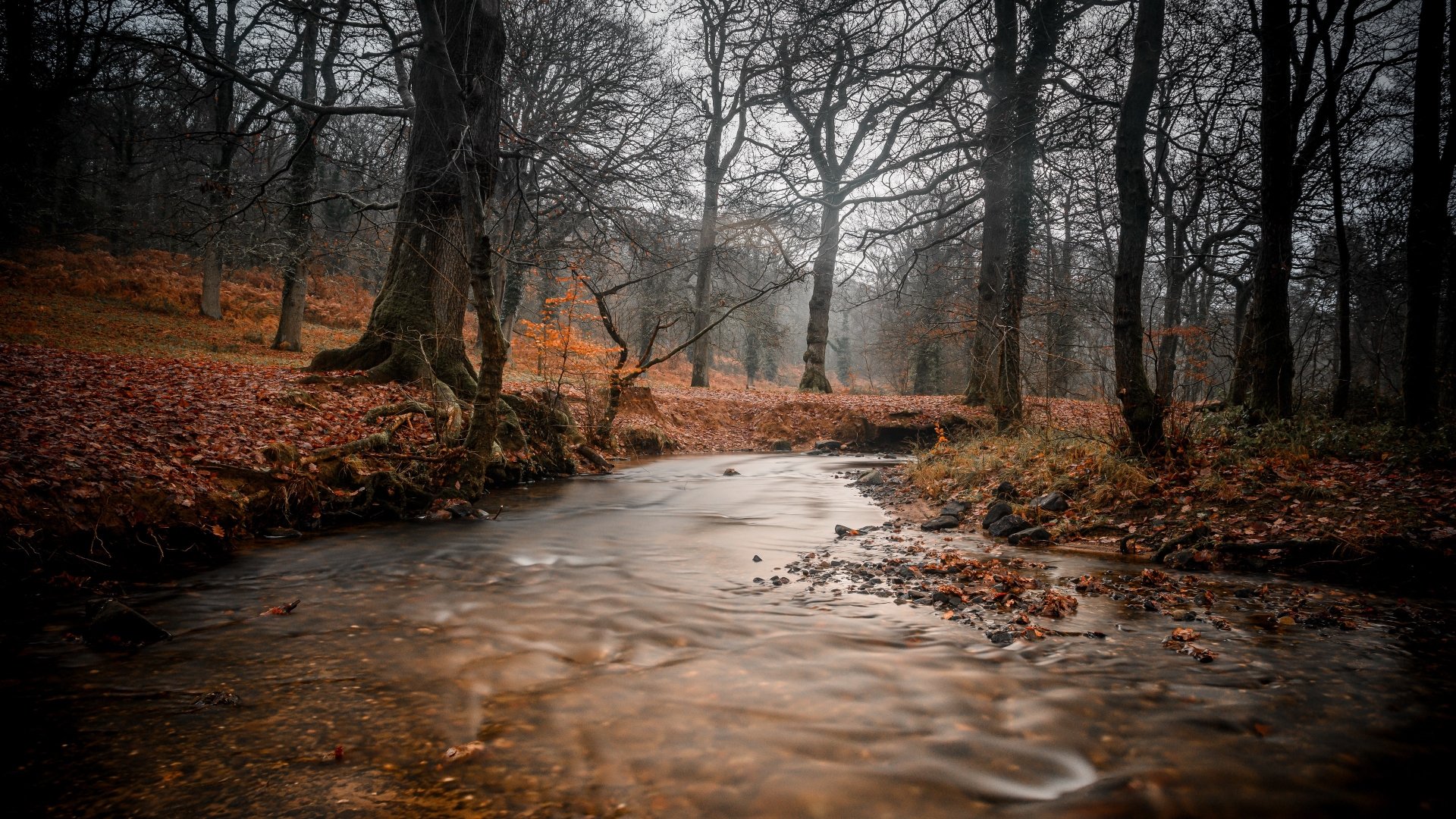 Download Forest Fall Nature River 4k Ultra HD Wallpaper | 3840x2160 ...