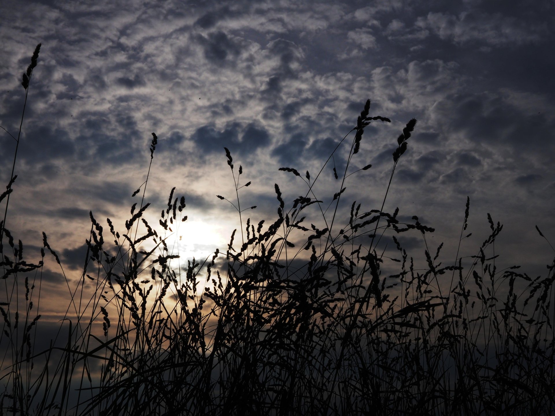 Download Twilight Cloud Sunset Nature Sky Grass 4k Ultra HD Wallpaper