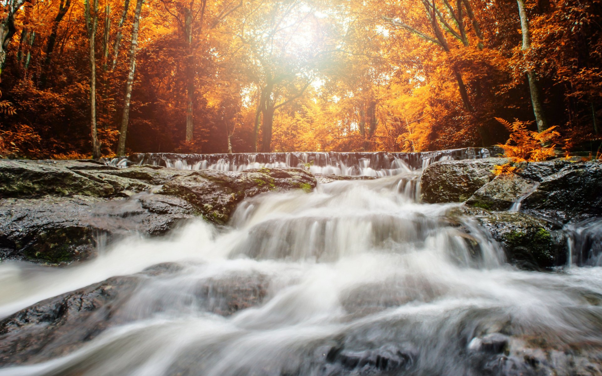 Download River Forest Fall Nature Waterfall HD Wallpaper | 2880x1800 ...
