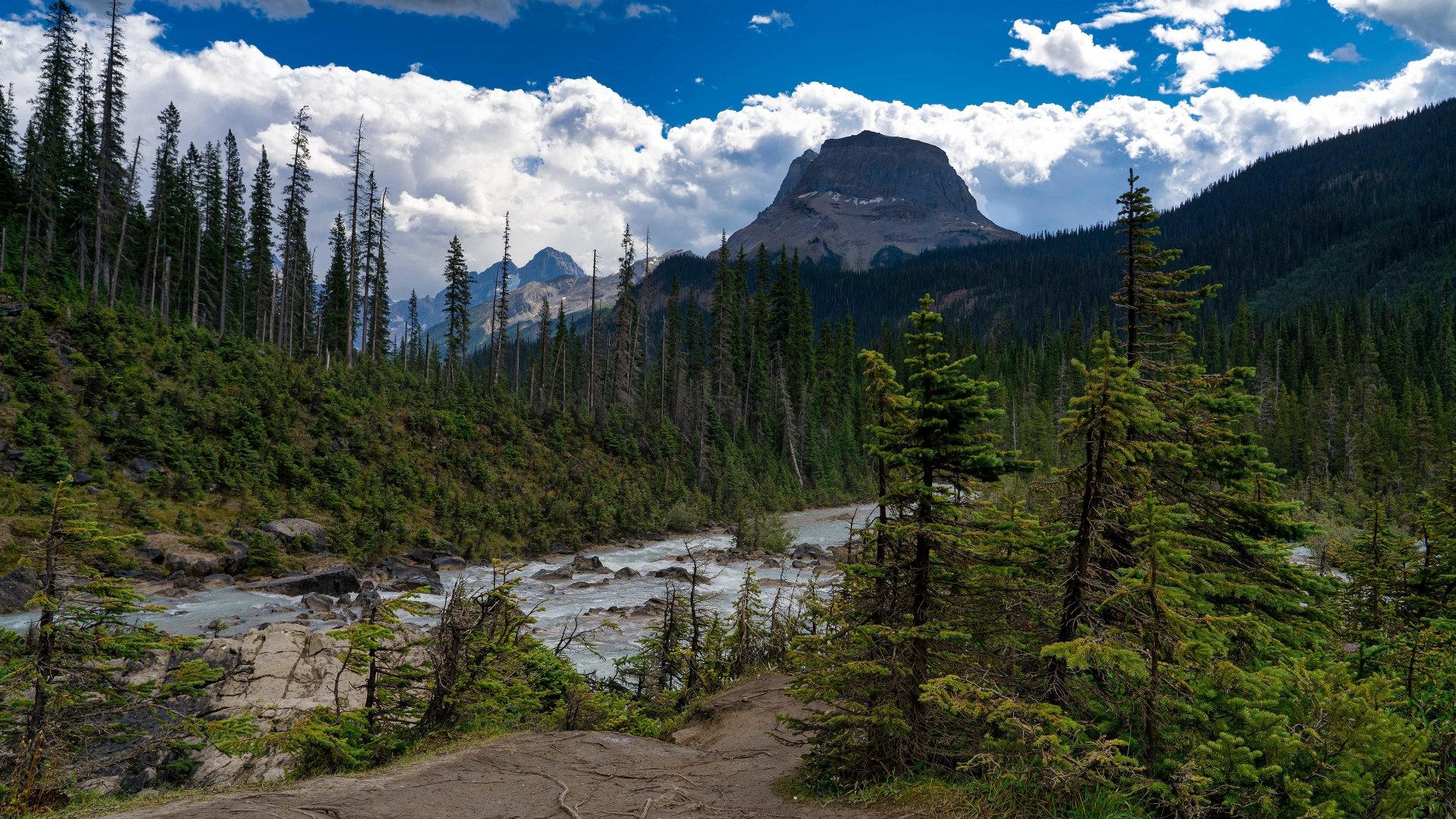 Download Alberta Canada Coast Mountain Forest Nature River 4k Ultra HD Wallpaper