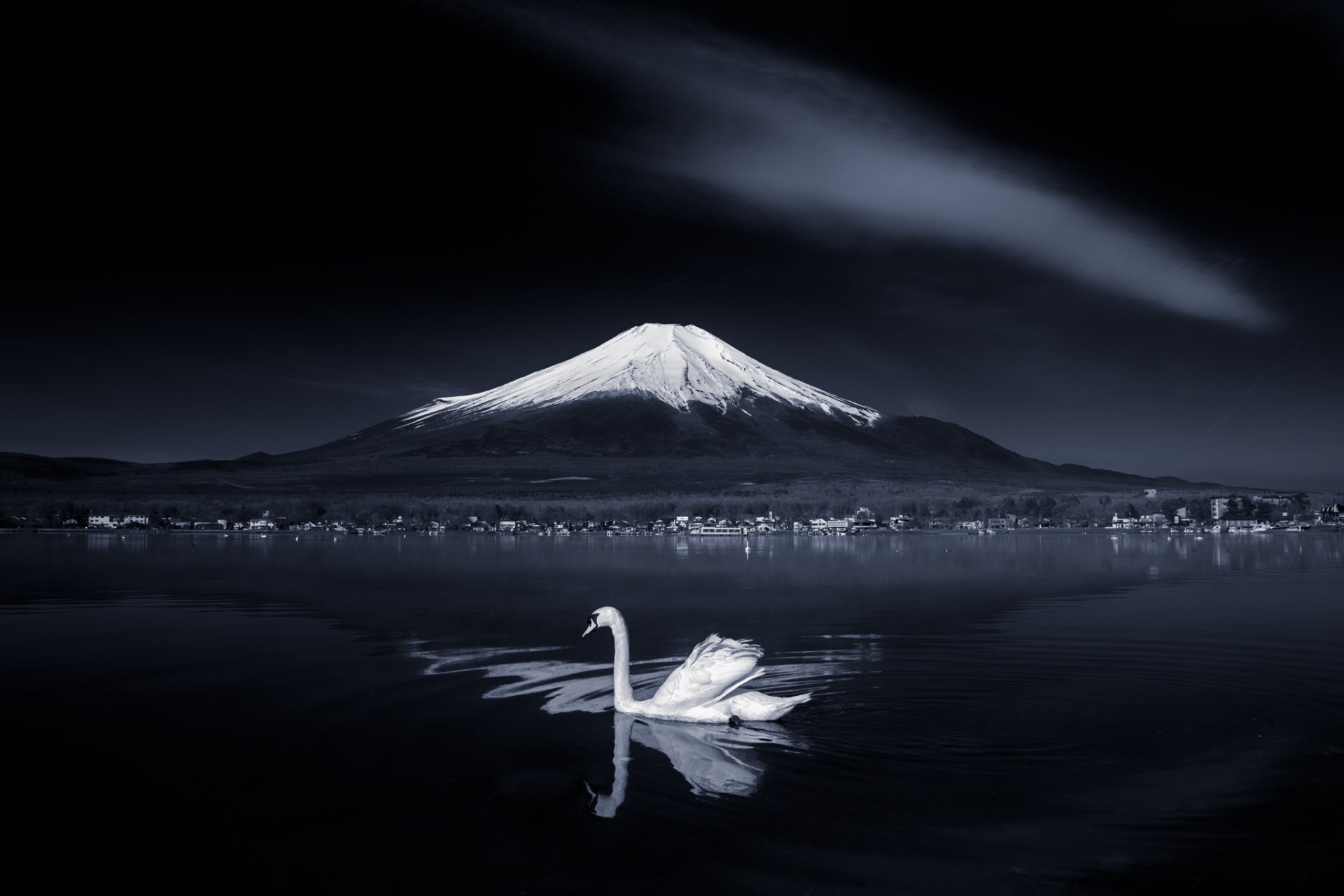 Download Fujiyama Pond Japan Mountain Bird Animal Swan HD Wallpaper