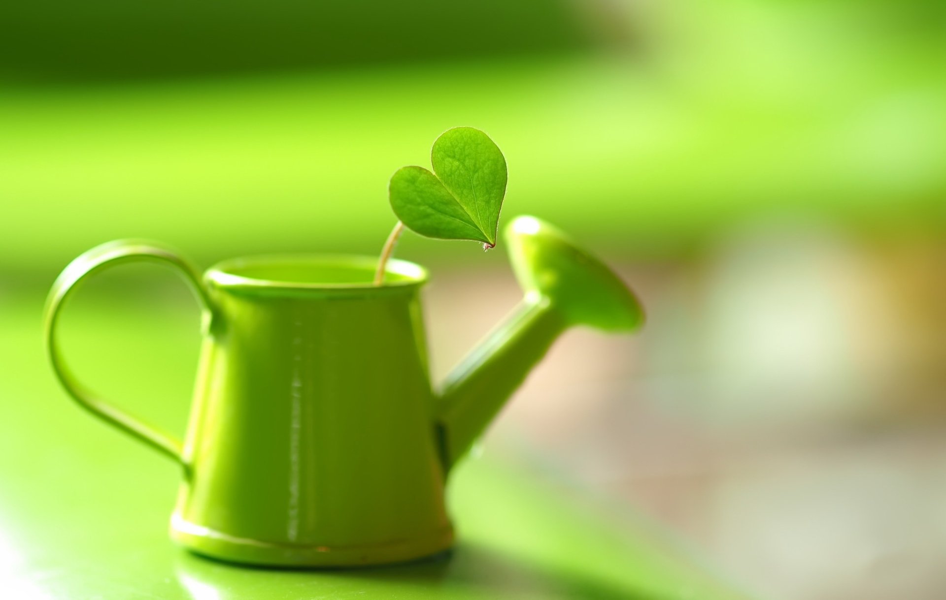 Download Watering Can Leaf Photography Still Life HD Wallpaper