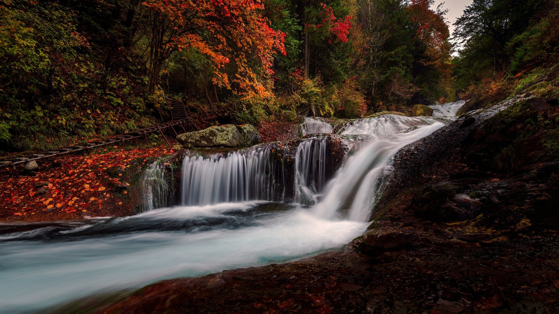 4K Ultra HD image of a serene waterfall flowing over stones surrounded by vibrant autumn foliage in a lush natural setting.