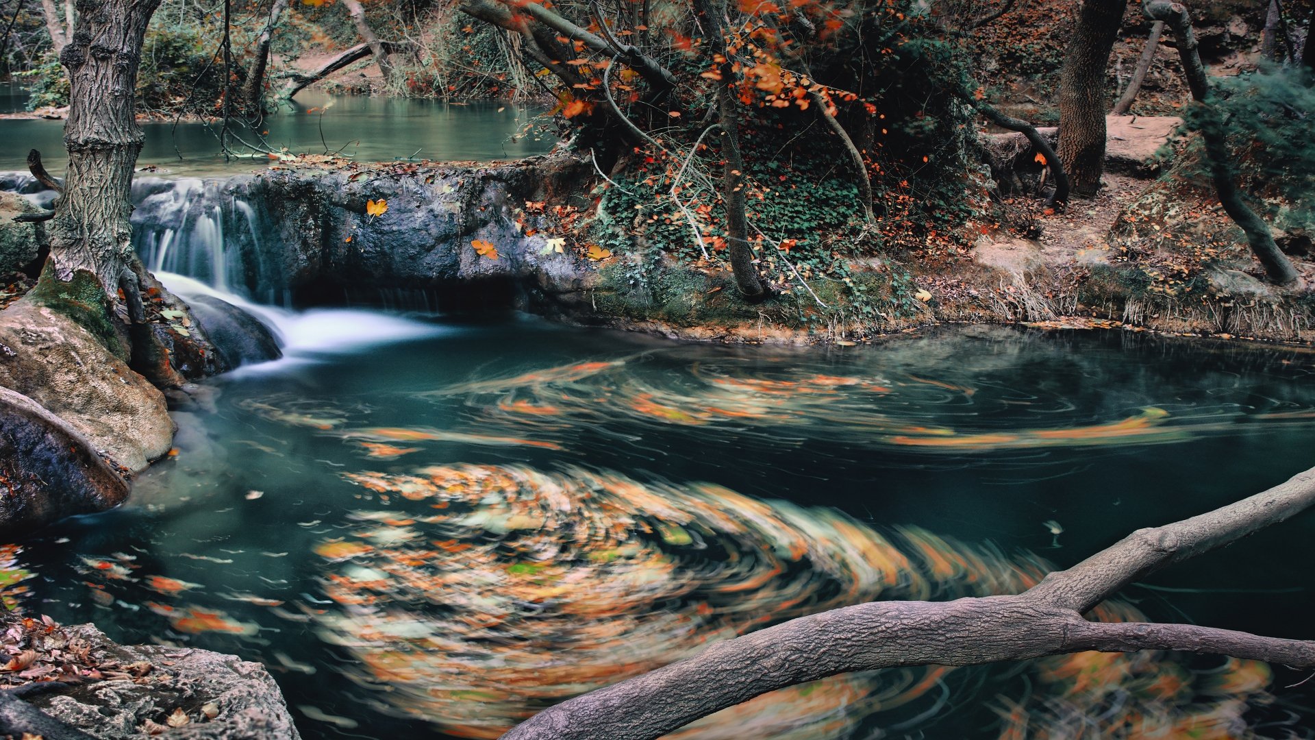 Download Leaf Fall Nature River 4k Ultra HD Wallpaper