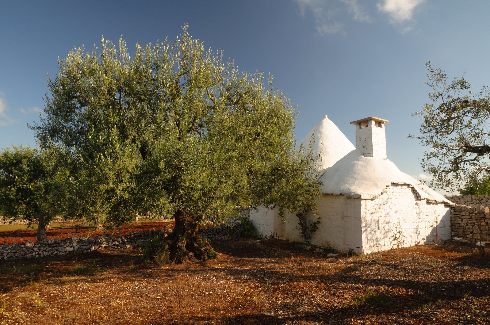 Download Alberobello Italy Man Made House Hd Wallpaper