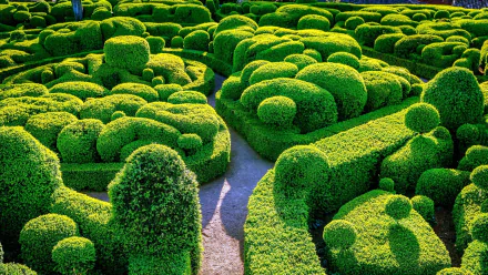 A vibrant green hedge maze in a park captured in high-definition photography, creating an intricate and inviting pattern for a PC desktop wallpaper background.