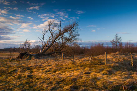  Bobr Valley Landscape Park