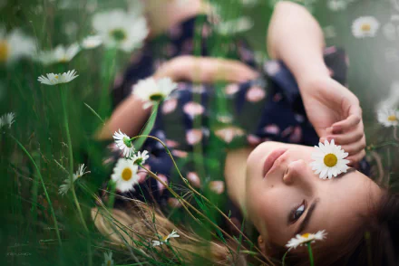 face flower model chamomile woman mood HD Desktop Wallpaper | Background Image