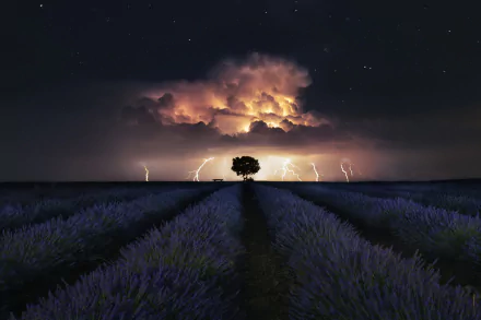lightning thunderstorm star nature lavender HD Desktop Wallpaper | Background Image