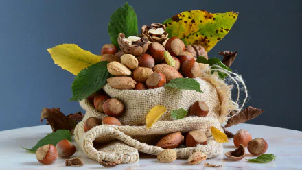 almond hazelnut walnut food nut HD Desktop Wallpaper | Background Image
