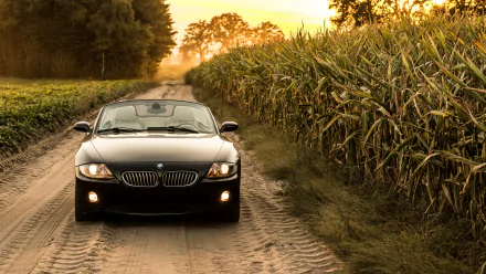 BMW vehicle BMW Z4 HD Desktop Wallpaper | Background Image