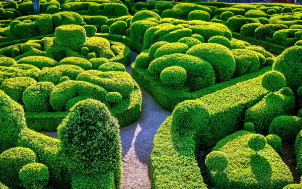 maze photography park HD Desktop Wallpaper | Background Image