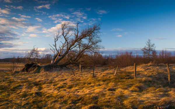  Bobr Valley Landscape Park