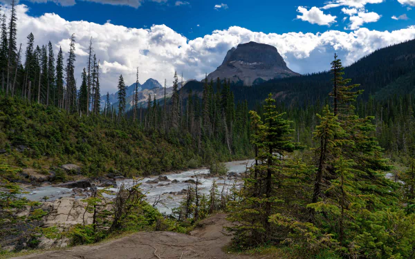 Alberta Canada coast mountain forest nature river HD Desktop Wallpaper | Background Image