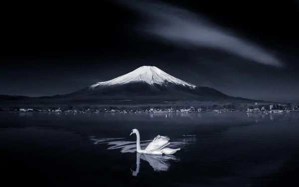 Fujiyama pond Japan mountain bird Animal swan HD Desktop Wallpaper | Background Image
