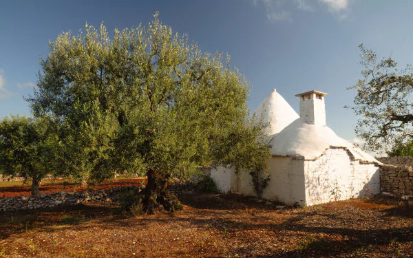 Alberobello Italy man made house HD Desktop Wallpaper | Background Image
