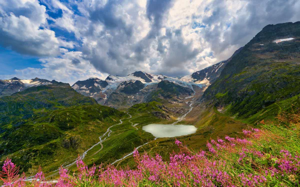 Vibrant fireweed blooms in the foreground with a serene alpine lake and majestic snow-capped Alps under a dynamic summer sky filled with clouds.