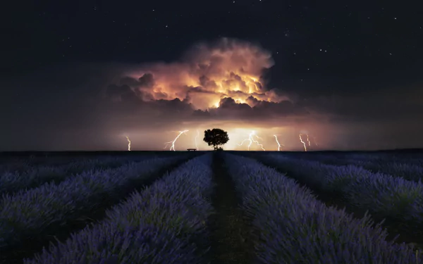 lightning thunderstorm star nature lavender HD Desktop Wallpaper | Background Image