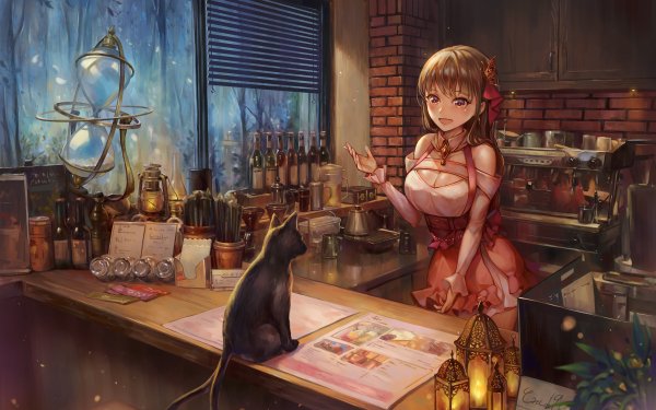 Anime Original Cat Kitchen HD Wallpaper | Background Image